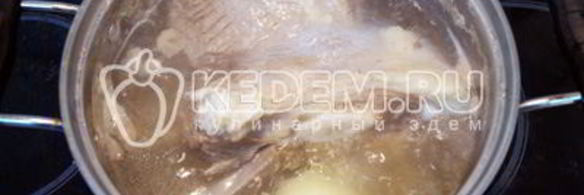 солянка сборная