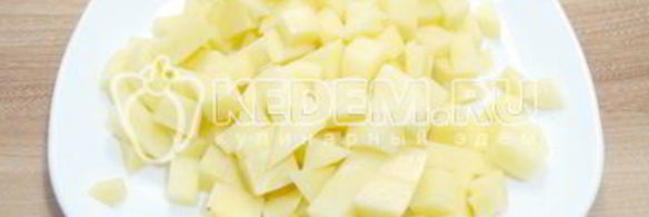 солянка сборная