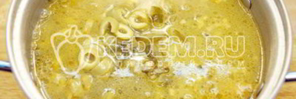 солянка сборная