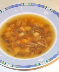 Суп грибной с мясом
