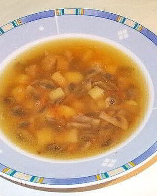 Суп грибной с мясом