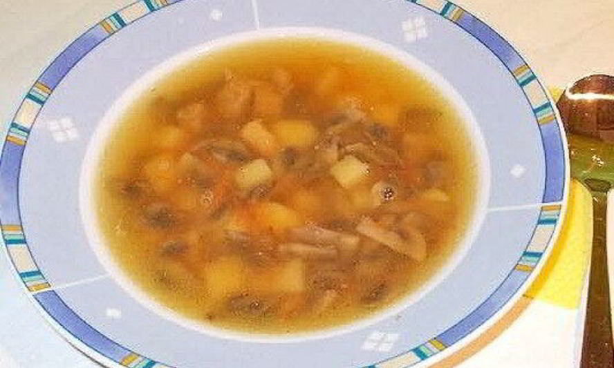 Рецепт супа грибного с мясом