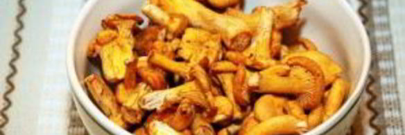 суп из грибов лисичек