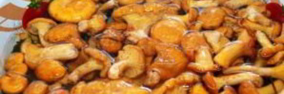 суп из грибов лисичек