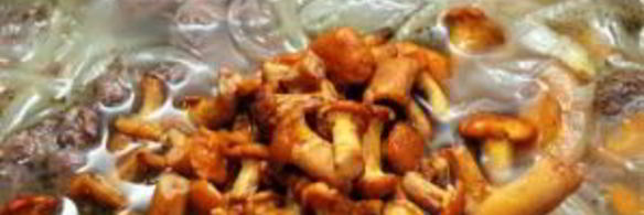 суп из грибов лисичек