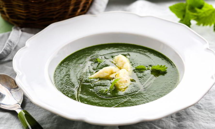 Рецепт супа из крапивы с клецками