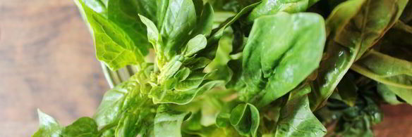 суп из шпината