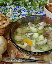 Суп из свежих белых грибов