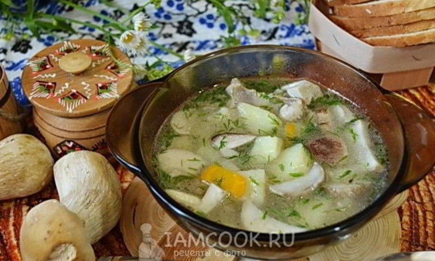 Рецепт супа из свежих белых грибов