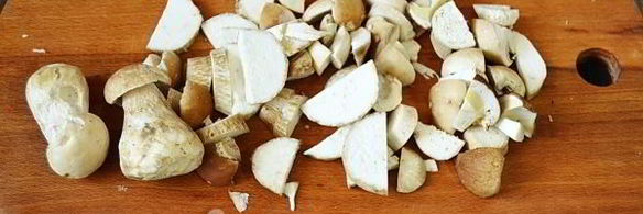 суп из свежих белых грибов