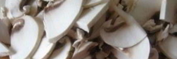 суп из свежих грибов