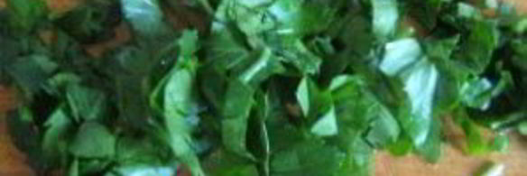 суп из свежих грибов