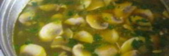 суп из свежих грибов