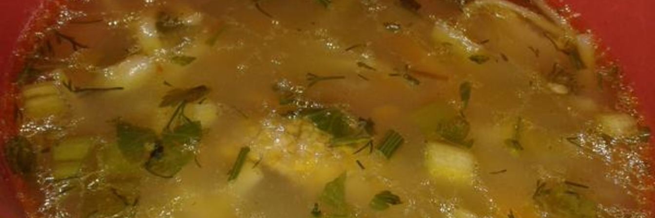 Суп из утки с белыми грибами