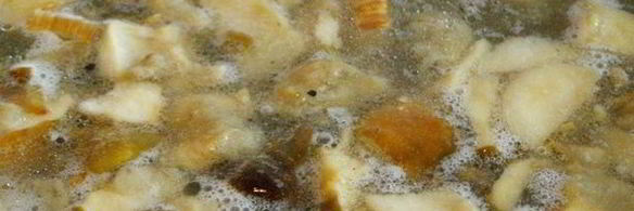 суп-пюре с белыми грибами