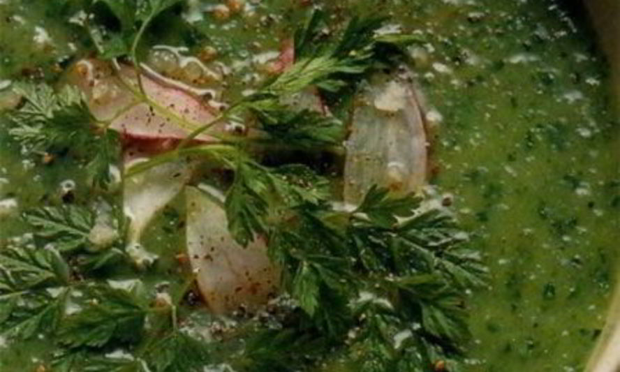 Рецепт зеленого супа-пюре