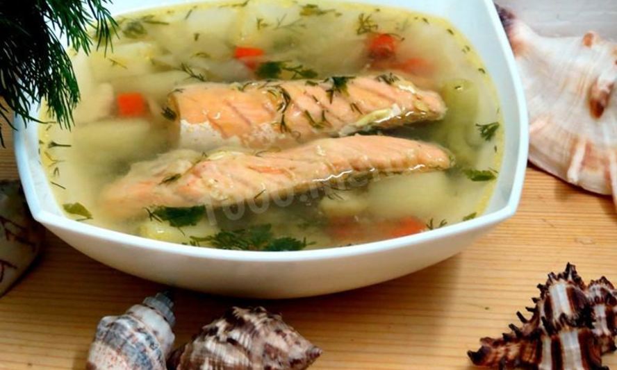 Рецепт супа с брюшками семги