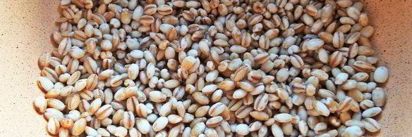 суп с перловкой и томатами