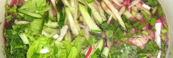 свекольник холодный