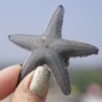 Арина Халкечева