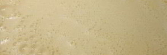 блинчики на молоке без яиц