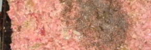 блинчики с печенью и рисом