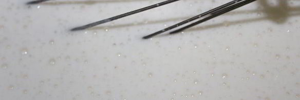 блины на сыворотке без яиц