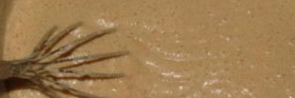 блины с морковью