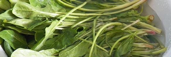 блины со шпинатом с начинкой из сыра, чеснока и орехов