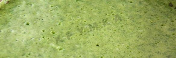 блины со шпинатом с начинкой из сыра, чеснока и орехов