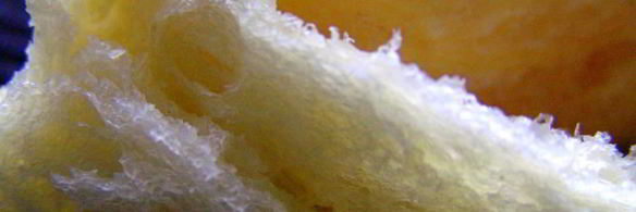 булочки parker house