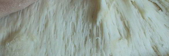 булочки с голубикой