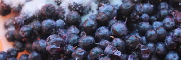 булочки с голубикой