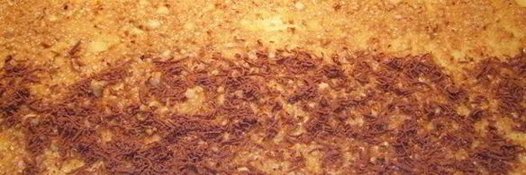 булочки с ореховой начинкой