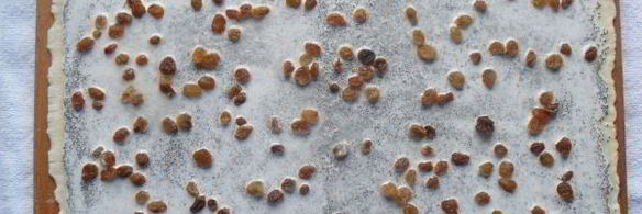 маленькие булочки с маком