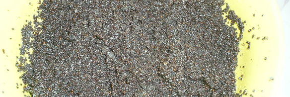 творожные булочки маковые узелки