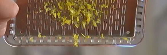 австрийский чизкейк с миндалем и изюмом