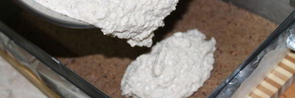 чизкейк мясной с брусничным соусом