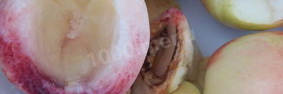 чизкейк сплошное наслажденье