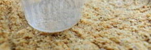 ежевичный чизкейк