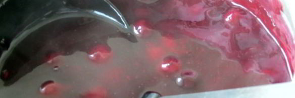 мини-чизкейки с черничным соусом