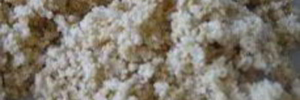 мятный мини-чизкейк