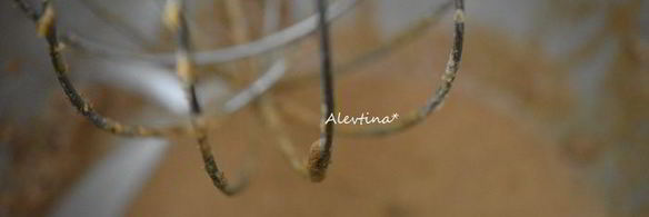 капкейки с чиа семенами