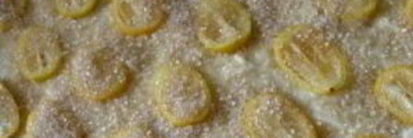 кекс с кумкватами