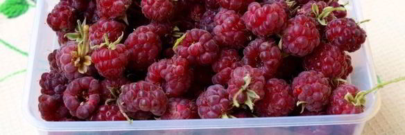 мраморный пряный кекс на сыворотке с малиной