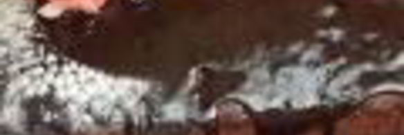 влажный шоколадный кекс без яиц