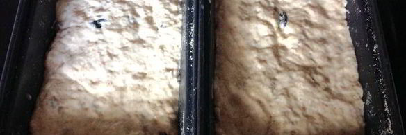 хлеб без замеса с изюмом и семечками