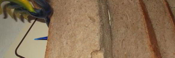 хлеб с корицей и ореховым маслом