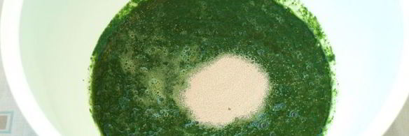 хлеб с крапивой