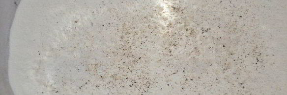 хлеб с маслинами и сыром джюгас